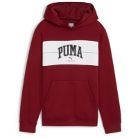 Hanorac Hanorac Puma Squad Fl B Unisex copil