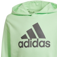 Hanorac Hanorac pentru copii adidas Big Logo Essentials Cotton verde deschis IS2591