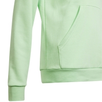 Hanorac Hanorac pentru copii adidas Big Logo Essentials Cotton verde deschis IS2591