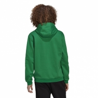 Hanorac Bluza męska adidas Entrada 22 Sweat zielona HI2141