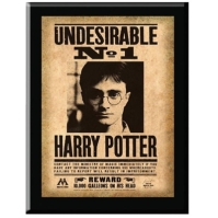 Harry Potter Harry Potter Undesirable Plaque