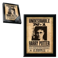 Harry Potter Harry Potter Undesirable Plaque