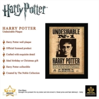 Harry Potter Harry Potter Undesirable Plaque