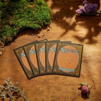 Set complet Magic the Gathering MTG Bloomburrow Starter