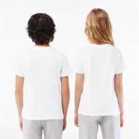 Lacoste Lacoste Basic Lgo Te Jn00