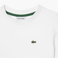 Lacoste Lacoste Basic Lgo Te Jn00