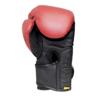 Manusa box Everlast 1910 Advance