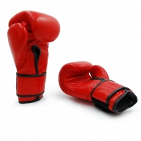 Manusa box Professional boxing Evolution made of natural piele PRO RB-1510,1514 red