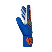 Manusa Portar Reusch Attrakt Starter Solid blue-black 5572514 4467 copil