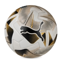 Minge Fotbal Puma Cumbre Conmebol Libertadores (F barbat