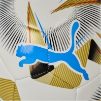 Minge Fotbal Puma Cumbre Copa Americatm Replica