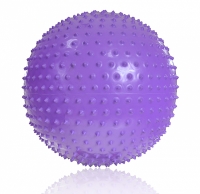 GYMNISTIC BALL WITH PROFIT 55cm MILAN violet DK 2104