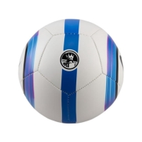 Minge Fotbal Nike Premier League Mini