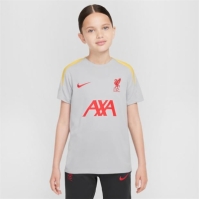 Nike Liverpool Strike Third Top 2024 2025 copil