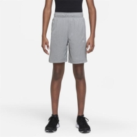 Nike NK POLY+ SHORT