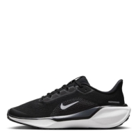 Nike Pegasus 41 Ch53