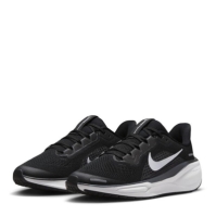 Nike Pegasus 41 Ch53