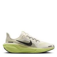 Nike Pegasus 41 Ch53