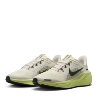 Nike Pegasus 41 Ch53