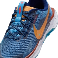 Nike Pegasus Trail Ch53