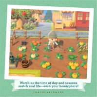 Nintendo Animal Crossing: New Horizons