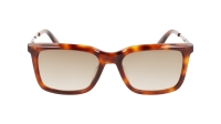 Ochelari de soare MAN CALVIN KLEIN CK22517S-220 maro