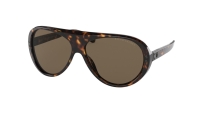 Ochelari de soare MAN RALPH LAUREN RL8194-500373 maro