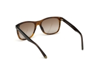 Ochelari de soare MAN WEB EYEWEAR WE0279-5652G maro