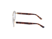 Ochelari de soare MAN WEB EYEWEAR WE0313-5632W auriu