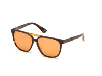 Ochelari de soare Unisex WEB EYEWEAR WE0263-5956J maro