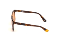 Ochelari de soare Unisex WEB EYEWEAR WE0263-5956J maro