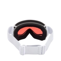 Nevica Raise Goggle Ld51