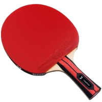 Butterfly Team Champion ping pong racket