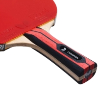 Butterfly Team Champion ping pong racket