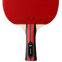 Butterfly Team Champion ping pong racket