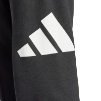 Pantalon adidas Essentials Big Logo French Terry men's black IN6163