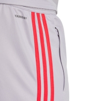 Pantalon adidas Squadra 25 Training men's gray JP3372