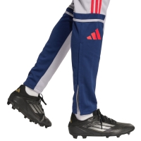 Pantalon adidas Squadra 25 Training men's gray JP3372