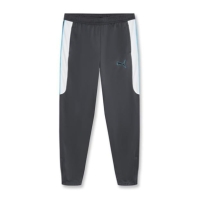 Pantalon Puma teamFNS Training barbat