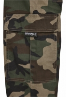 Pantalon Southpole Camo Cargo