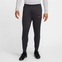 Pantalon trening Nike Liverpool Third Strike adulti