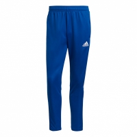 Pantalon male ?? printing adidas Tiro 21 Training blue GJ9870