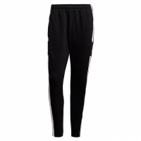 Pantalon Pantalon Men's
 adidas Squadra 21 Sweat black GT6642