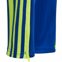 Pantalon Pantalon for adidas Squadra 21 Training Youth blue-yellow GP6449 copil