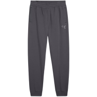 Pantalon Combat Men's Puma Better Essentials gray 676816 69