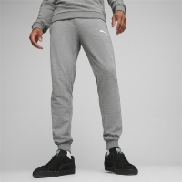 Pantalon Puma Team Goal Casuals men's gray 658598 33