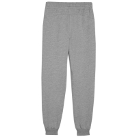 Pantalon Puma Team Goal 's gray 658601 33 copil