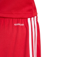 Pantalon scurt Combat adidas Squadra 25 red for JJ2416 copil