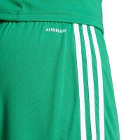 Pantalon scurt Combat adidas men's Squadra 25 green JN7482