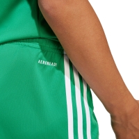 Pantalon scurt Combat adidas Squadra 25 's green JN7484 copil